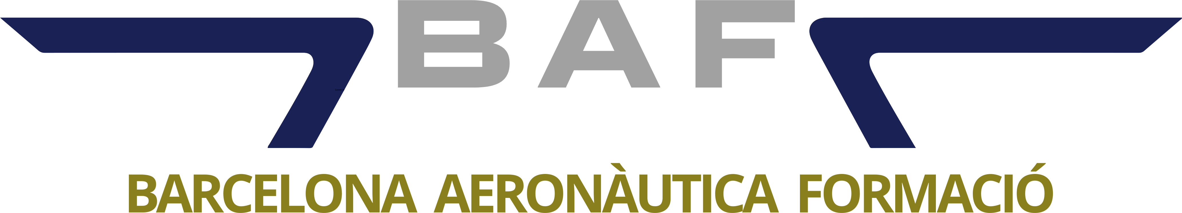 Barcelona Aeronàutica Formació